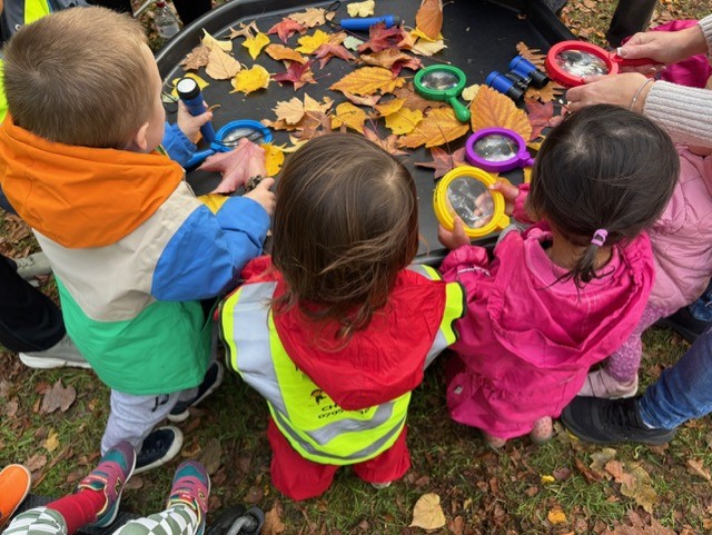 Exploring autumn leaves with magnifying glasses